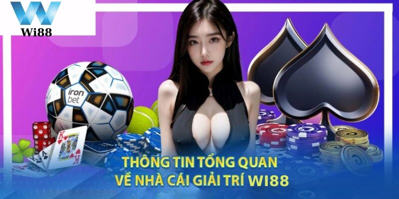 Đôi nét về chúng tôi - Nhà cái Wi88 